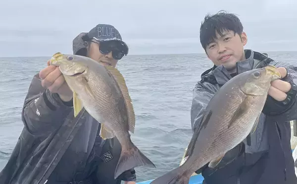 シーズン終盤のイサキSLJで本命連発【じらまる・下関】マダイにキジハタに魚種も多彩！