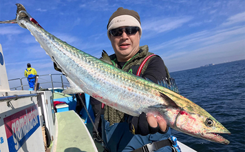 東京湾の人気船船長直伝！ 【サワラキャスティングゲーム入門解説】