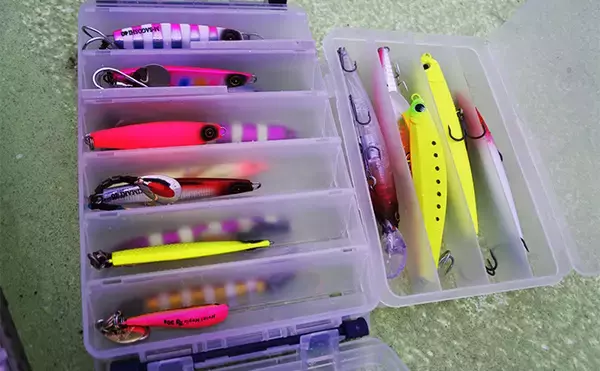 「東京湾の人気船船長直伝！ 【サワラキャスティングゲーム入門解説】」の画像