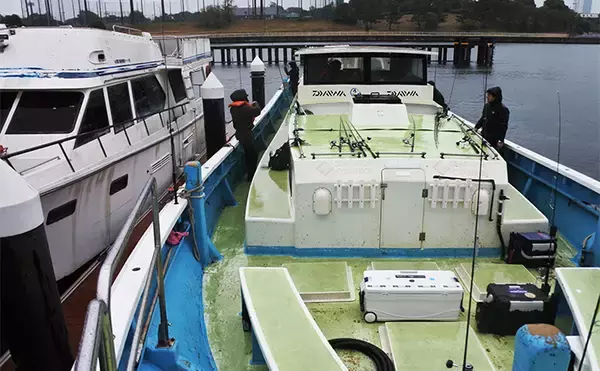 「東京湾の人気船船長直伝！ 【サワラキャスティングゲーム入門解説】」の画像