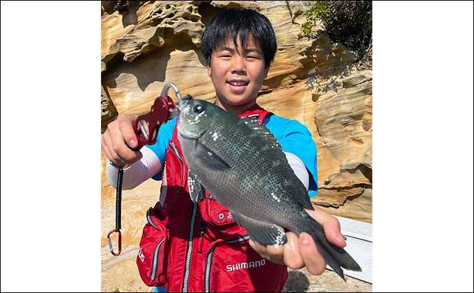 親子で磯釣り堪能　フカセで良型チヌにショアジギでサゴシ入れ食いも