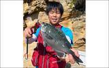 「親子で磯釣り堪能　フカセで良型チヌにショアジギでサゴシ入れ食いも」の画像3