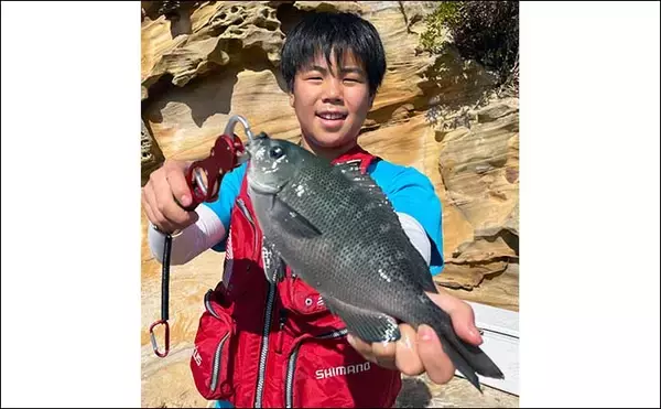「親子で磯釣り堪能　フカセで良型チヌにショアジギでサゴシ入れ食いも」の画像