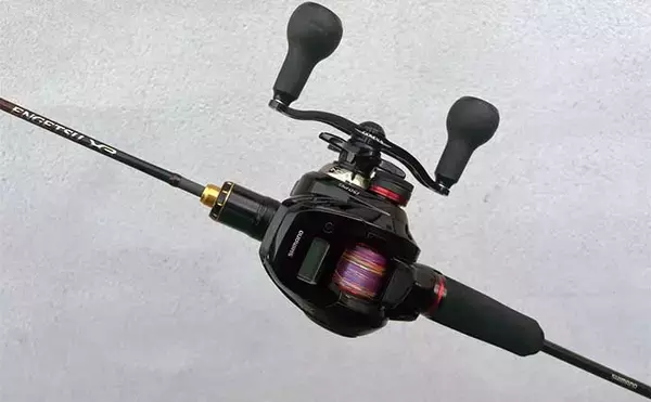 「冬の東京湾ボートタイラバ釣行で3kgマダイをキャッチ　回収時ヒットにご注意を」の画像