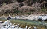 「ヤマメ・アマゴ狙い渓流エサ釣り入門【振り込み方・流し方・アワセ方・やり取り・取り込み方】」の画像4