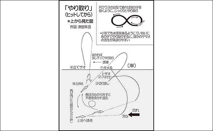 ヤマメ・アマゴ狙い渓流エサ釣り入門【振り込み方・流し方・アワセ方・やり取り・取り込み方】