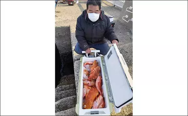 「【沖釣り釣果速報】タイラバで50cm超えの大型アマダイと対面（福岡）」の画像