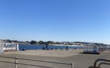 【GWにおすすめ釣り場】釣り＆ご当地グルメが楽しめる：江の島湘南港（神奈川）