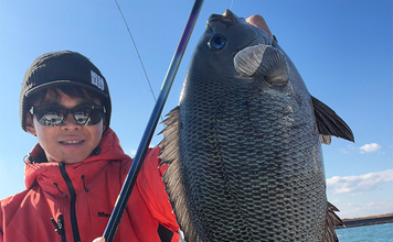 ボートでのフカセ釣りで寒グレ爆釣！【三河湾】ルアーロッドで入れ食いを堪能