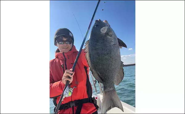 「ボートでのフカセ釣りで寒グレ爆釣！【三河湾】ルアーロッドで入れ食いを堪能」の画像