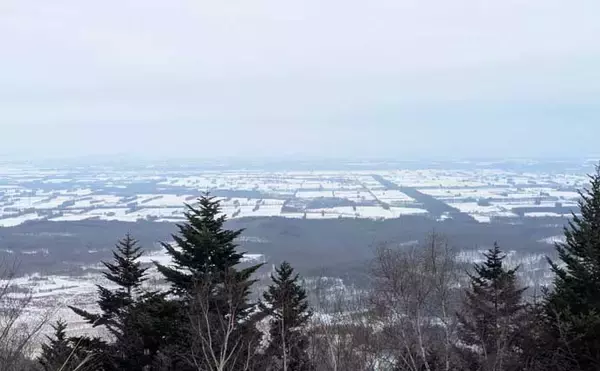 「然別湖の氷上釣りで『ミヤベイワナ』と対面成功　独自の進化遂げた魚体に惚れ惚れ」の画像