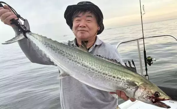 伊勢湾内サワラシーズンが開幕！87cm良型浮上【沖のルアー釣果速報8選・愛知】