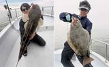 「伊勢湾内サワラシーズンが開幕！87cm良型浮上【沖のルアー釣果速報8選・愛知】」の画像3