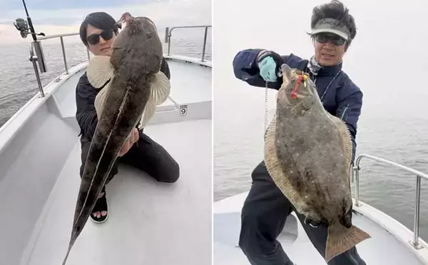 「伊勢湾内サワラシーズンが開幕！87cm良型浮上【沖のルアー釣果速報8選・愛知】」の画像