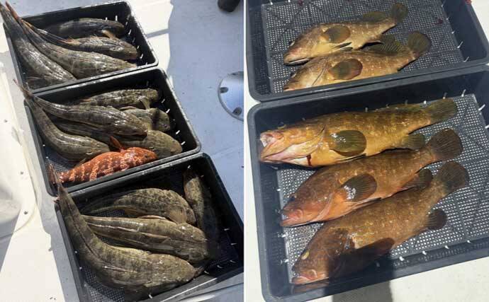 伊勢湾内サワラシーズンが開幕！87cm良型浮上【沖のルアー釣果速報8選・愛知】