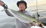 「伊勢湾内サワラシーズンが開幕！87cm良型浮上【沖のルアー釣果速報8選・愛知】」の画像7