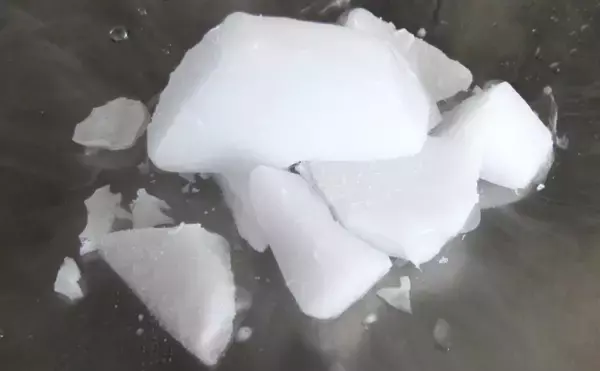 「漁業の大敵『カワウ』駆除の新兵器は「ドライアイス」　卵を凍らせて孵化を防ぐ？」の画像