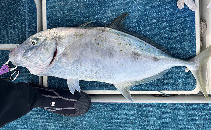 沖縄離島のポテンシャルに驚愕！【伊是名島】GT18kgに高級魚連発の5日間の遠征をレポート