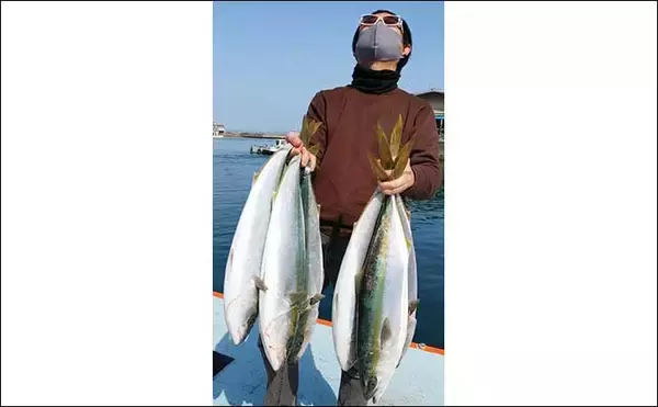 「【愛知】沖釣り最新釣果情報　エギングでコウイカ爆乗りトップ8匹」の画像