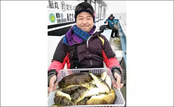 「【愛知】沖釣り最新釣果情報　エギングでコウイカ爆乗りトップ8匹」の画像