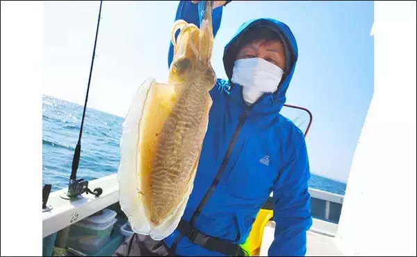 「【愛知】沖釣り最新釣果情報　エギングでコウイカ爆乗りトップ8匹」の画像