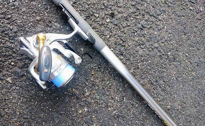 22年 九州エリア梅雨グロ釣り入門 全遊動 全層 仕掛けが有効 22年5月10日 エキサイトニュース