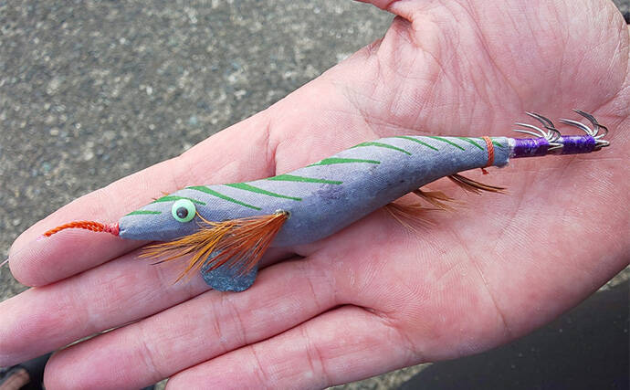 日本海での短時間エギングで秋アオリイカと対面【福井県】ベイトの群れ狙い撃ち