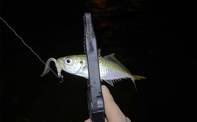 「2025年もあとわずか」 ルアー釣り愛好家が今年の釣り目標を振り返ってみた