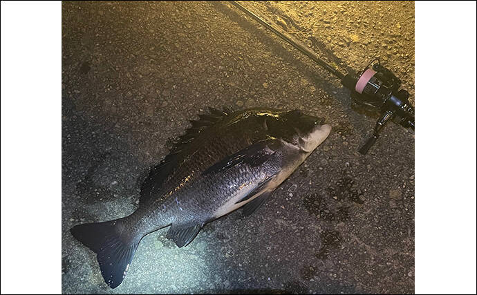 「2025年もあとわずか」 ルアー釣り愛好家が今年の釣り目標を振り返ってみた