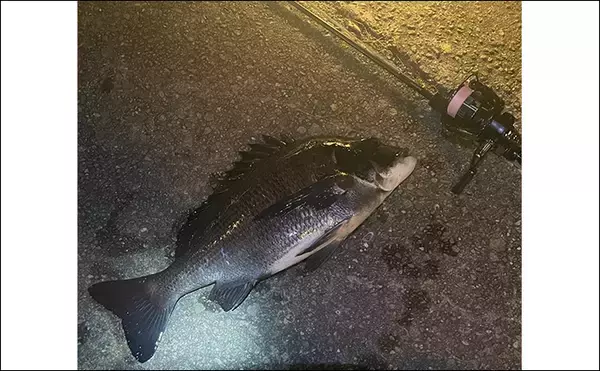 「「2025年もあとわずか」 ルアー釣り愛好家が今年の釣り目標を振り返ってみた」の画像