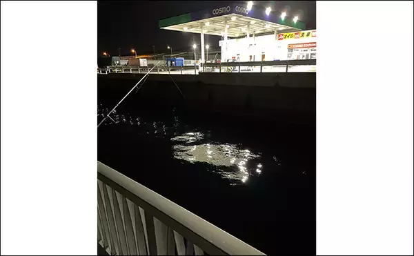 「「アジが釣れる場所はココ！」 アジングで重点的に狙うべきポイント5選」の画像