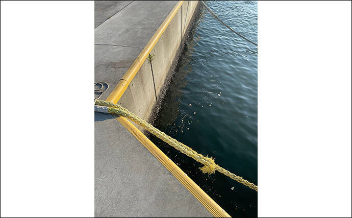 「アジが釣れる場所はココ！」 アジングで重点的に狙うべきポイント5選