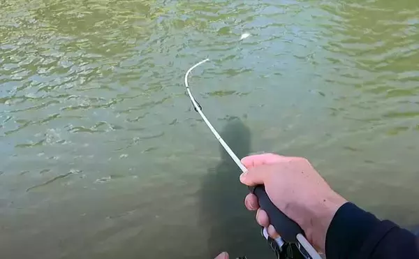 「冬こそ楽しいトラウトゲーム！　 管理釣り場でクランクベイトを使いこなそう」の画像