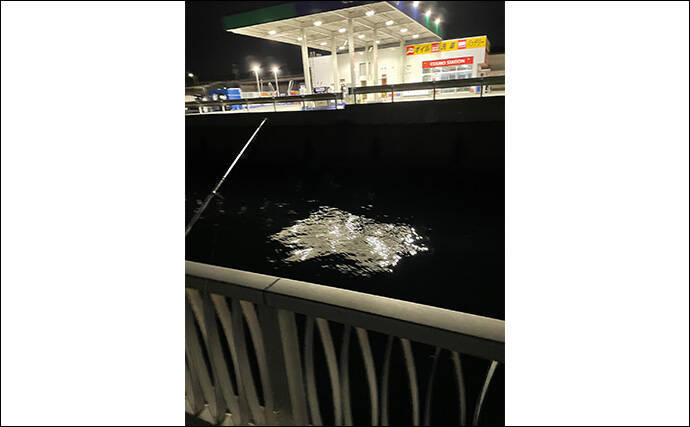 敢えてのイレギュラーアクションがアジに効く？ スレた時間にこそ試してみよう