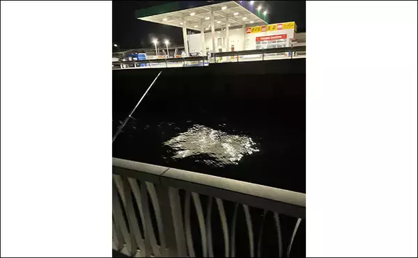 「敢えてのイレギュラーアクションがアジに効く？ スレた時間にこそ試してみよう」の画像