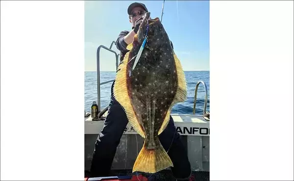 「【沖のルアー釣果速報】ジギングで75cmヒラメ手中！玄界灘のルアー釣りが熱い（福岡）」の画像