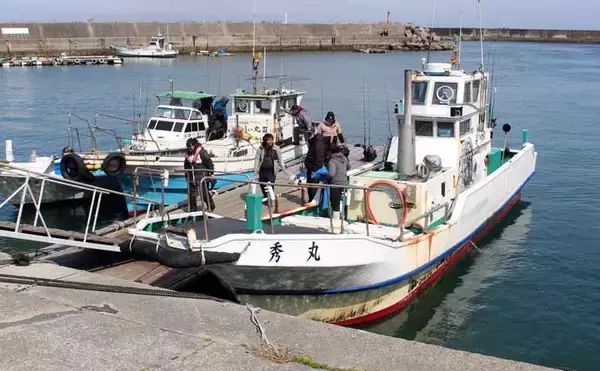 「「釣った魚の重量が軽い人が優勝？」ちょっと変わった釣り大会で良型サワラ続々」の画像