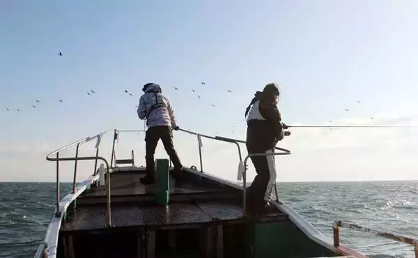 「「釣った魚の重量が軽い人が優勝？」ちょっと変わった釣り大会で良型サワラ続々」の画像