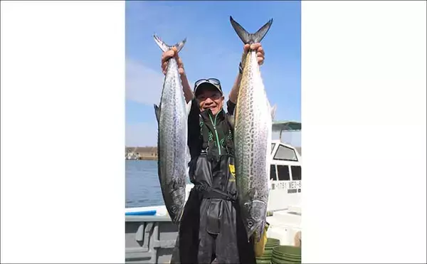 「「釣った魚の重量が軽い人が優勝？」ちょっと変わった釣り大会で良型サワラ続々」の画像