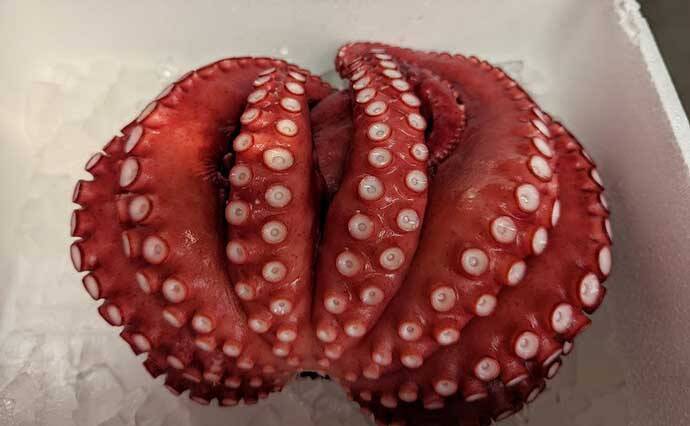 釣り人目線で海洋ゴミ問題を考える　根掛かり回避と回収について