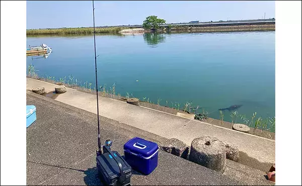 「手軽に楽しむ秋のハゼ釣り【三重・赤須賀漁港】ミャク釣りでハゼ10匹キャッチ」の画像