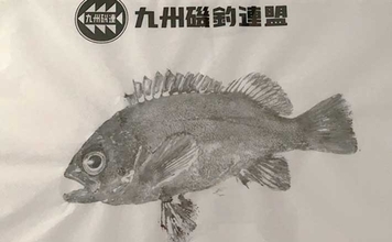 「魚拓といえば墨！」はもう古い？　デジタル魚拓のメリットとおすすめサービスを紹介