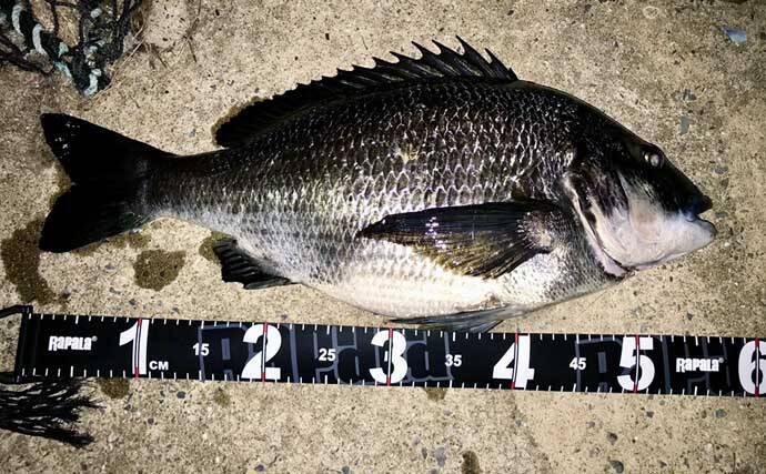 「魚拓といえば墨！」はもう古い？　デジタル魚拓のメリットとおすすめサービスを紹介