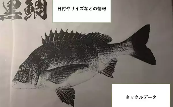 「「魚拓といえば墨！」はもう古い？　デジタル魚拓のメリットとおすすめサービスを紹介」の画像