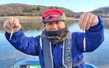 「入鹿池のボートワカサギ釣りで2人300匹超！【愛知】回遊大群を捉えて兄弟対決制す」の画像4