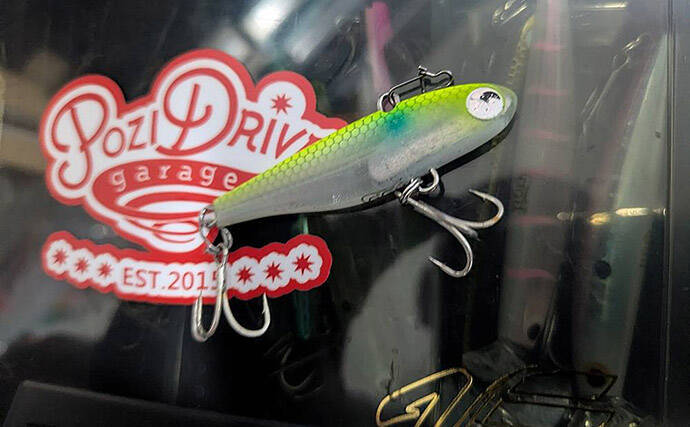 87cm「ランカー」シーバス堂々参上！ 春のハクパターンでヒット