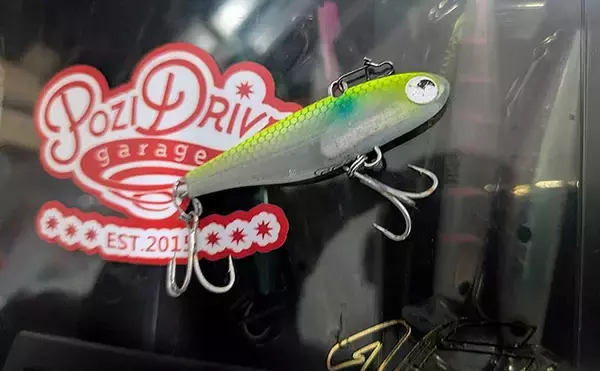 「87cm「ランカー」シーバス堂々参上！ 春のハクパターンでヒット」の画像