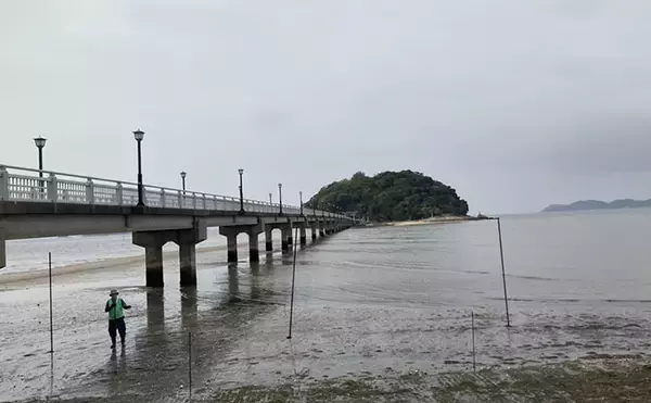 「「わずか40分で規定量到達！」愛知県内有数の潮干上がりポイント『竹島海岸』で良型アサリがザクザク」の画像