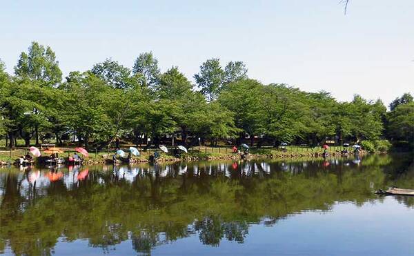 今週のヘラブナ推薦釣り場 埼玉県 太田ヶ谷沼 22年6月21日 エキサイトニュース