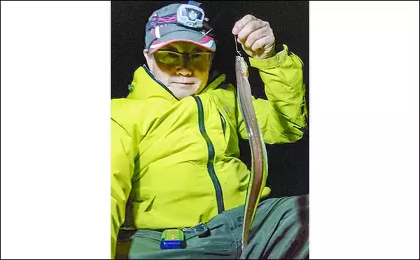 「夜波止での投げ釣りでアナゴ2桁釣果【愛知・大野漁港】30mラインで連発」の画像